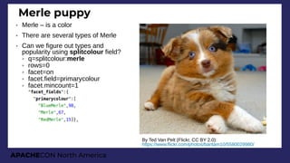 APACHECON North America
Merle puppy
➢ Merle – is a color
➢ There are several types of Merle
➢ Can we figure out types and
popularity using splitcolour field?
➢ q=splitcolour:merle
➢ rows=0
➢ facet=on
➢ facet.field=primarycolour
➢ facet.mincount=1
By Ted Van Pelt (Flickr, CC BY 2.0):
https://www.flickr.com/photos/bantam10/5580029980/
 