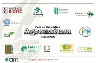 Public Private Partnerships at CIAT