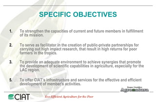 Public Private Partnerships at CIAT