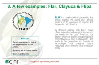 Public Private Partnerships at CIAT