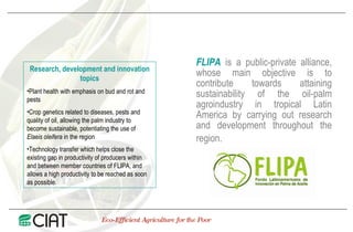 Public Private Partnerships at CIAT