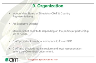 Public Private Partnerships at CIAT