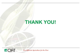 Public Private Partnerships at CIAT