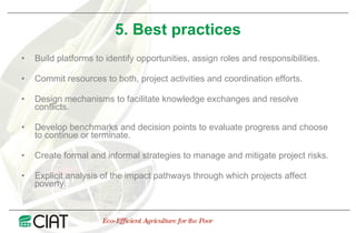 Public Private Partnerships at CIAT