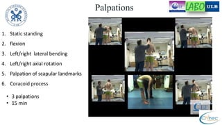 Palpation Rotation Test Digitized manual palpation: a new method of evaluating posture and its ...
