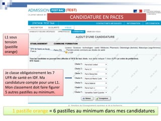 L1 sous
tension
(pastille
orange)
Je classe obligatoirement les 7
UFR de santé en IDF. Ma
candidature compte pour une L1.
Mon classement doit faire figurer
5 autres pastilles au minimum.
1 pastille orange = 6 pastilles au minimum dans mes candidatures
CANDIDATURE EN PACES
 