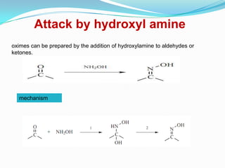 Attack by hydroxyl amine
oximes can be prepared by the addition of hydroxylamine to aldehydes or
ketones.




  mechanism
 
