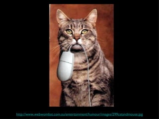 http://www.webwombat.com.au/entertainment/humour/images/299catandmouse.jpg 