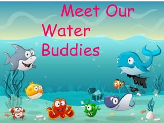 Meet Our
Water
Buddies
 