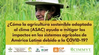 ¿Cómo la agricultura sostenible adaptada
al clima (ASAC) ayuda a mitigar los
impactos en los sistemas agrícolas de
América Latina debido a la COVID-19?
 