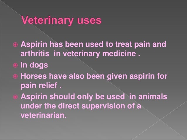 Can Dogs Have Paracetamol For Pain Relief Can Dogs Have Paracetamol For Pain Relief