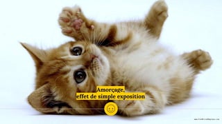 Amorçage,
effet de simple exposition
 