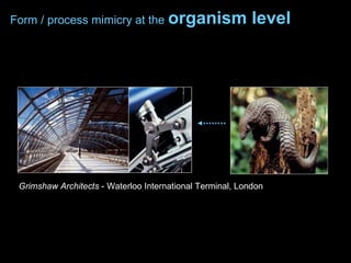 Grimshaw Architects - Waterloo International Terminal, London
Form / process mimicry at the organism level
 