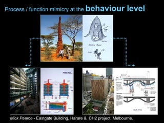 Process / function mimicry at the behaviour level
Mick Pearce - Eastgate Building, Harare & CH2 project, Melbourne.
 