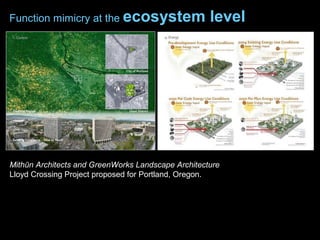 Mithūn Architects and GreenWorks Landscape Architecture
Lloyd Crossing Project proposed for Portland, Oregon.
Function mimicry at the ecosystem level
 