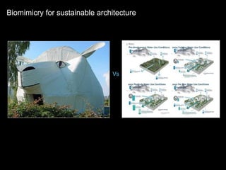 Vs
Biomimicry for sustainable architecture
 