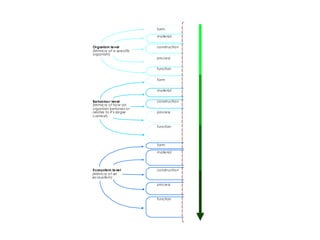 form
material
construction
process
function
form
material
construction
process
function
form
material
construction
process
function
The building looks like a termite.
The building is made from the same material as a termite (a material
that mimics termite exoskeleton / skin for example).
The building is made in the same way as a termite (it goes through
various growth cycles for example).
The building works in the same way as an individual termite (it
produces hydrogen efficiently through meta-genomics for example).
The building functions like a termite in a larger context (it recycles
cellulose waste and creates soil for example).
The building looks like it was made by a termite (a replica of a termite
mound for example).
The building is made from the same materials that a termite builds
with (using digested fine soil as the primary material for example).
The building is made in the same way that a termite would build in
(piling earth in certain places at certain times for example).
The building works in the same way as a termite mound would (by
careful orientation, shape, materials selection and natural ventilation
for example), or it mimics how termites work together.
The building functions in the same way that it would if made by
termites (internal conditions are regulated to be optimal and thermally
stable for example). It may also function in the same way that a
termite mound does in a larger context.
The building looks like an ecosystem (a termite would live in).
The building is made from the same kind of materials that (a termite)
ecosystem is made of (it uses naturally occurring common
compounds, and water as the primary chemical medium for
example).
The building is assembled in the same way as a (termite) ecosystem
(principles of succession and increasing complexity over time are
used for example).
The building works in the same way as a (termite) ecosystem (it
captures and converts energy from the sun, it stores water for
example).
The building is able to function in the same way that a (termite)
ecosystem would and forms part of a complex system by utilizing the
relationships between processes (it is able to participate in the
hydrological, carbon, nitrogen cycles etc in a similar way to an
ecosystem for example).
Organism level
(Mimicry of a specific
organism)
Behaviou r level
(Mimicry of how an
organism behaves or
relates to it’s larger
context)
Ecosystem level
(Mimicry of an
ecosystem)
 