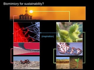 (inspiration)
Biomimicry for sustainability?
 