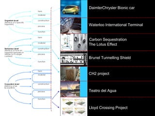 form
material
construction
process
function
form
material
construction
process
function
form
material
construction
process
function
The building looks like a termite.
The building is made from the same material as a termite (a material
that mimics termite exoskeleton / skin for example).
The building is made in the same way as a termite (it goes through
various growth cycles for example).
The building works in the same way as an individual termite (it
produces hydrogen efficiently through meta-genomics for example).
The building functions like a termite in a larger context (it recycles
cellulose waste and creates soil for example).
The building looks like it was made by a termite (a replica of a termite
mound for example).
The building is made from the same materials that a termite builds
with (using digested fine soil as the primary material for example).
The building is made in the same way that a termite would build in
(piling earth in certain places at certain times for example).
The building works in the same way as a termite mound would (by
careful orientation, shape, materials selection and natural ventilation
for example), or it mimics how termites work together.
The building functions in the same way that it would if made by
termites (internal conditions are regulated to be optimal and thermally
stable for example). It may also function in the same way that a
termite mound does in a larger context.
The building looks like an ecosystem (a termite would live in).
The building is made from the same kind of materials that (a termite)
ecosystem is made of (it uses naturally occurring common
compounds, and water as the primary chemical medium for
example).
The building is assembled in the same way as a (termite) ecosystem
(principles of succession and increasing complexity over time are
used for ex ample).
The building works in the same way as a (termite) ecosystem (it
captures and converts energy from the sun, it stores water for
example).
The building is able to function in the same way that a (termite)
ecosystem would and forms part of a complex system by utilizing the
relationships between processes (it is able to participate in the
hydrological, carbon, nitrogen cycles etc in a similar way to an
ecosystem for example).
Organism level
(Mimicry of a specific
organism)
Behaviou r level
(Mimicry of how an
organism behaves or
relates to it’s larger
context)
Ecosystem level
(Mimicry of an
ecosystem)
DaimlerChrysler Bionic car
Lloyd Crossing Project
CH2 project
Brunel Tunnelling Shield
The Lotus Effect
Waterloo International Terminal
Teatro del Agua
Carbon Sequestration
 