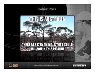 Australian Wildlife
Global Energy Group Asia Pacific Pty Ltd.
 
