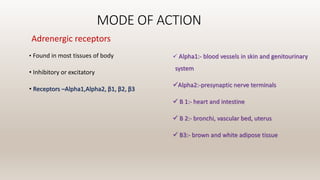 MODE OF ACTION
Adrenergic receptors
• Found in most tissues of body
• Inhibitory or excitatory
• Receptors –Alpha1,Alpha2, β1, β2, β3
 Alpha1:- blood vessels in skin and genitourinary
system
Alpha2:-presynaptic nerve terminals
 Β 1:- heart and intestine
 Β 2:- bronchi, vascular bed, uterus
 Β3:- brown and white adipose tissue
 