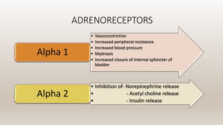 ADRENORECEPTORS
• Vasoconstriction
• Increased peripheral resistance
• Increased blood pressure
• Mydriasis
• Increased closure of internal sphincter of
bladder
Alpha 1
• Inhibition of- Norepinephrine release
• - Acetyl choline release
• - Insulin release
Alpha 2
 
