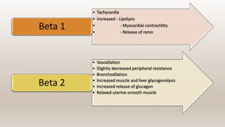 • Tachycardia
• Increased - Lipolysis
• - Myocardial contractility
• - Release of renin
Beta 1
• Vasodilation
• Slightly decreased peripheral resistance
• Bronchodilation
• Increased muscle and liver glycogenolysis
• Increased release of glucagon
• Relaxed uterine smooth muscle
Beta 2
 
