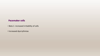 Pacemaker cells
• Beta 1- increased irritability of cells
• Increased dysrrythmias
 
