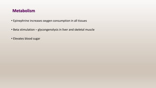 Metabolism
• Epinephrine increases oxygen consumption in all tissues
• Beta stimulation – glycongenolysis in liver and skeletal muscle
• Elevates blood sugar
 
