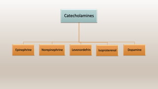 Catecholamines
Epinephrine Norepinephrine Levonordefrin Isoproterenol Dopamine
 