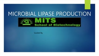 MICROBIAL LIPASE PRODUCTION
Guided By,
 