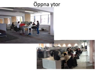 Öppna ytor

 