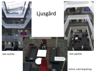 Ljusgård

Sett nerifrån

Sett uppifrån

Golvet, ܳٱäԲåԾԲ

 