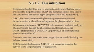 5.3.1.3. Acetylcholinesterase Inhibition
• Curcumin has also been revealed to modulate AchE in a mechanism
similar to the ...