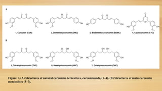 Figure 1. (A) Structures of natural curcumin derivatives, curcuminoids, (1–4). (B) Structures of main curcumin
metabolites...
