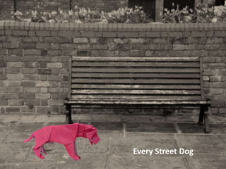 Every Street Dog
 