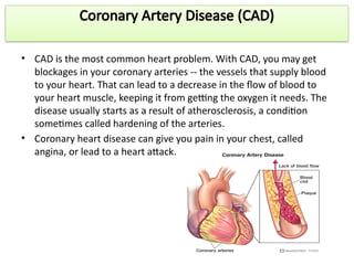 Comprehensive Overview of the Human Heart and Coronary Artery Disease ...