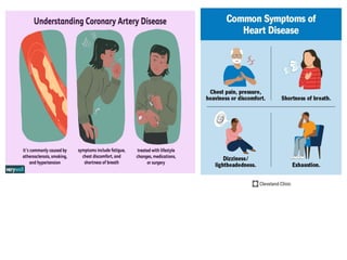 Comprehensive Overview of the Human Heart and Coronary Artery Disease ...
