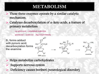  These three enzymes operate by a similar catalytic
mechanism.
 Catalyzes decarboxylation of a-keto acids, a feature of
primary metabolism
• e.g. pyruvic acid → acetaldehyde in glycolysis
• pyruvic acid → acetyl-CoA (Fig.2.15 p23 Dewick)

 Helps metabolize carbohydrates
 Supports nervous system
 Deficiency causes beriberi (neurological disorder)
METABOLISM
 