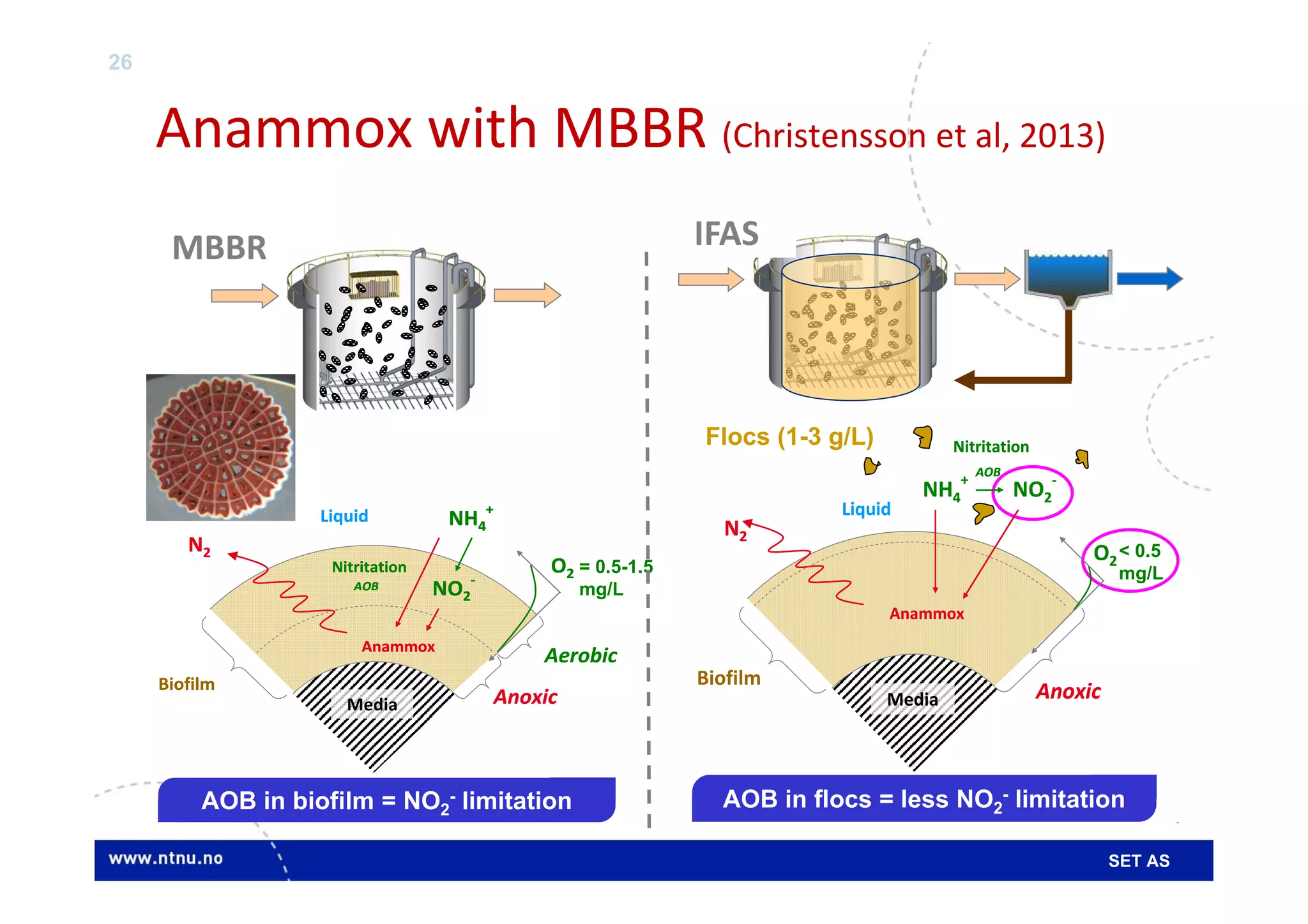 Presentation_(B4-1).pdf