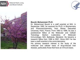 Bourdi, Mohammed. Ph.D.
Dr. Mohammed Bourdi is a staff scientist at NIH. In
September 1992, he received his Ph.D. in Biochemistry
and Pharmacochemistry, from Renes Descartes
University, Paris, France. From 1993 to 1998, he was a
postdoctoral fellow at the Molecular and Cellular
Toxicology Section (Laboratory of Molecular
Immunology), NIH, Bethesda, Maryland. He became a
research fellow from 1998 to 2001. Since 2001 he has
been a staff scientist in the some laboratory.
His primary research interest is the study of the
molecular and cellular basis of drug-induced liver
disease, particularly those that have an immune basis.
 