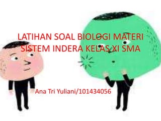 LATIHAN SOAL BIOLOGI MATERI
 SISTEM INDERA KELAS XI SMA



   Ana Tri Yuliani/101434056
 