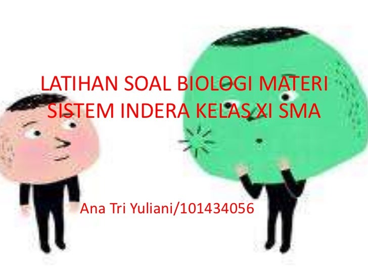 Soal Sistem Indra Soal Sistem Indra
