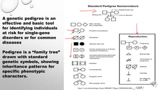 PRESENTATION basic principle of genetic disease.pdf