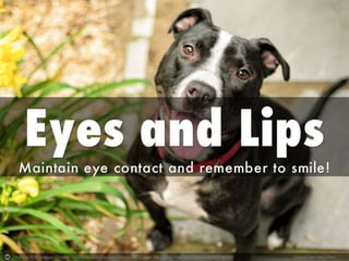 Photo by Rob Swatski - Creative Commons Attribution-NonCommercial License https://www.flickr.com/photos/50946274@N02 Created with Haiku Deck
 