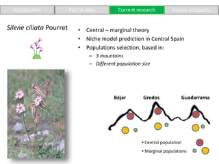 GuadarramaGredosBéjar
Introduction Past studies Current research Future prospects
Silene ciliata Pourret
• Central populat...