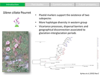 Silene ciliata Pourret
Introduction Past studies Current researches Future prospects
• Plastid markers support the existen...