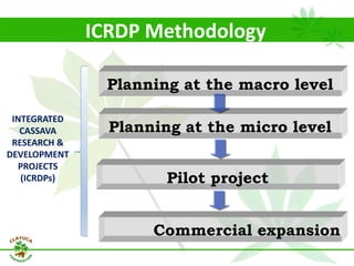 Why isn´t Colombia the LAC version  of Thailand for the cassava crop?