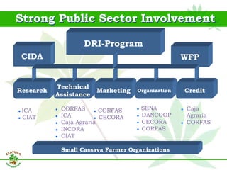 Why isn´t Colombia the LAC version  of Thailand for the cassava crop?