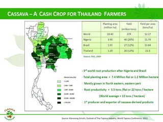 Why isn´t Colombia the LAC version  of Thailand for the cassava crop?